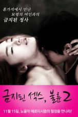 Film Semi Korea Forbidden Sex 2: Affair (2012) layarkaca21