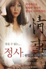 Film Semi Korea An Affair A Dangerous Sexual Play (2014) layarkaca21